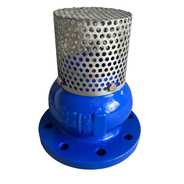 foot valve