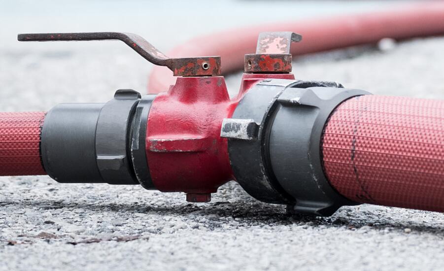 QQ20241108114936 QQ20241108114936