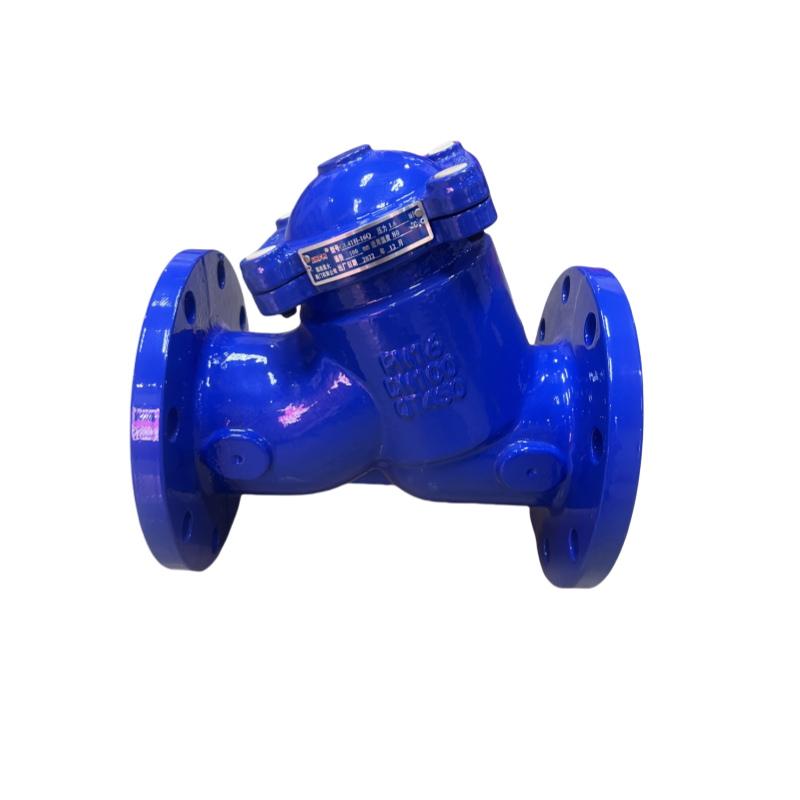 Customization Ductile Iron Y Type Filter Valve Y Type Flange Water Strainer