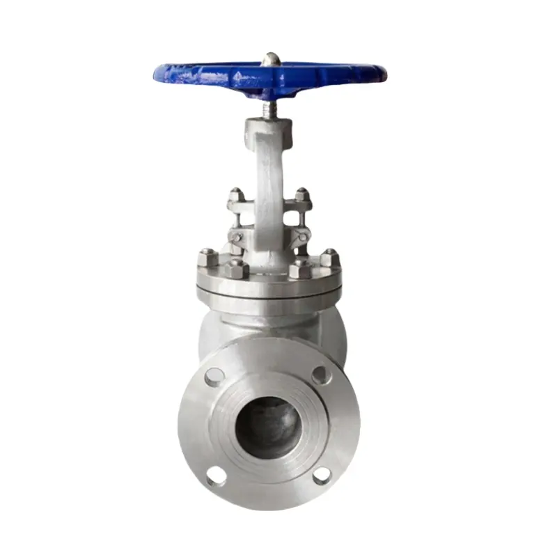 SS 304 Valve Flange Globe Valve SS 304 Valve Flange Globe Valve