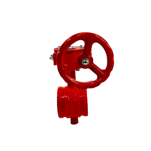 D381X-16Q Grooved Type Gear Butterfly Valve