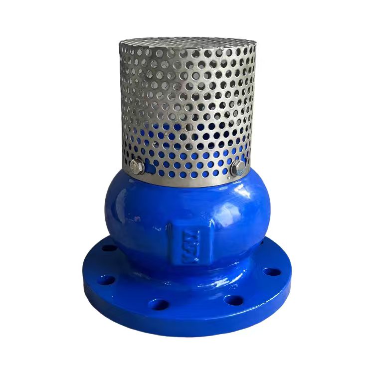 foot valve foot valve