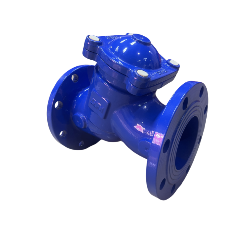 Customization Ductile Iron Y Type Filter Valve Y Type Flange Water Strainer