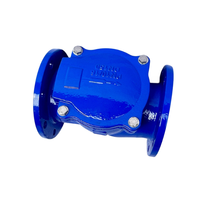 Factory Hot Selling Ductile Iron Cast Iron CI PN16 Flanged Durable Rubber 45 degree Flap Check Valve Factory Hot Selling Ductile Iron Cast Iron CI PN16 Flanged Durable Rubber 45 degree Flap Check Valve